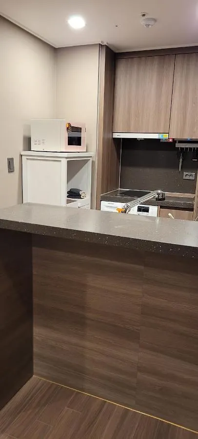 Flat Nearby Heaundae Beach Busan Apartment